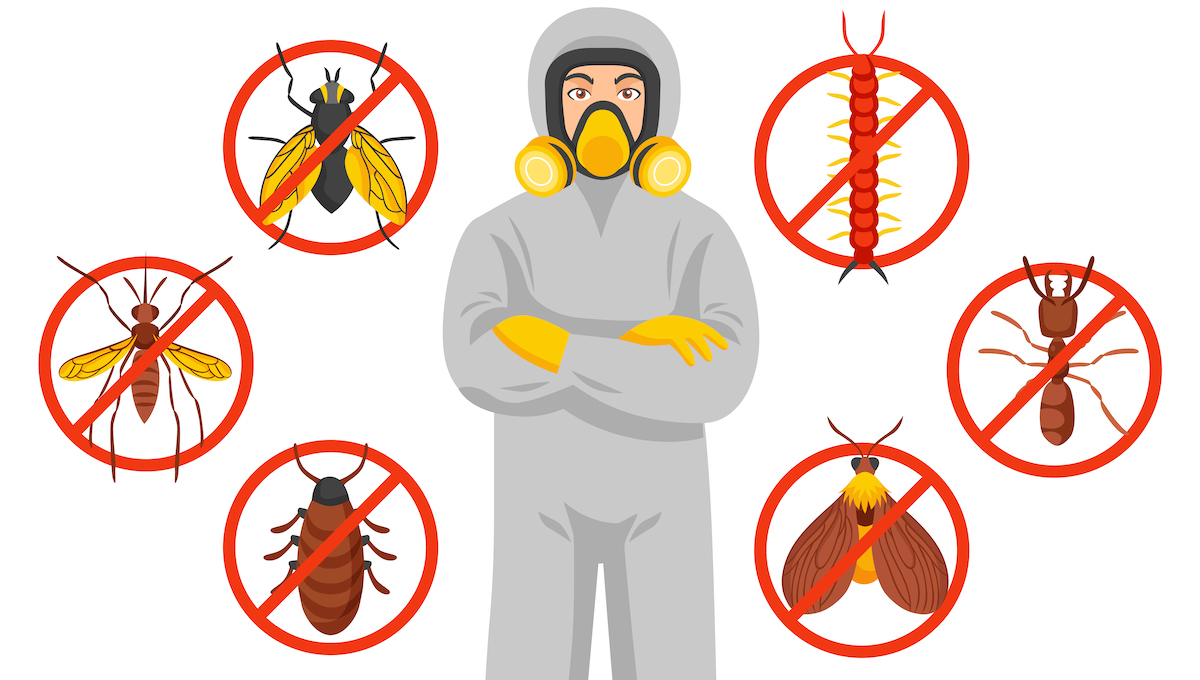 شركات مكافحة الحشرات المعتمدة من بلدية ابوظبي